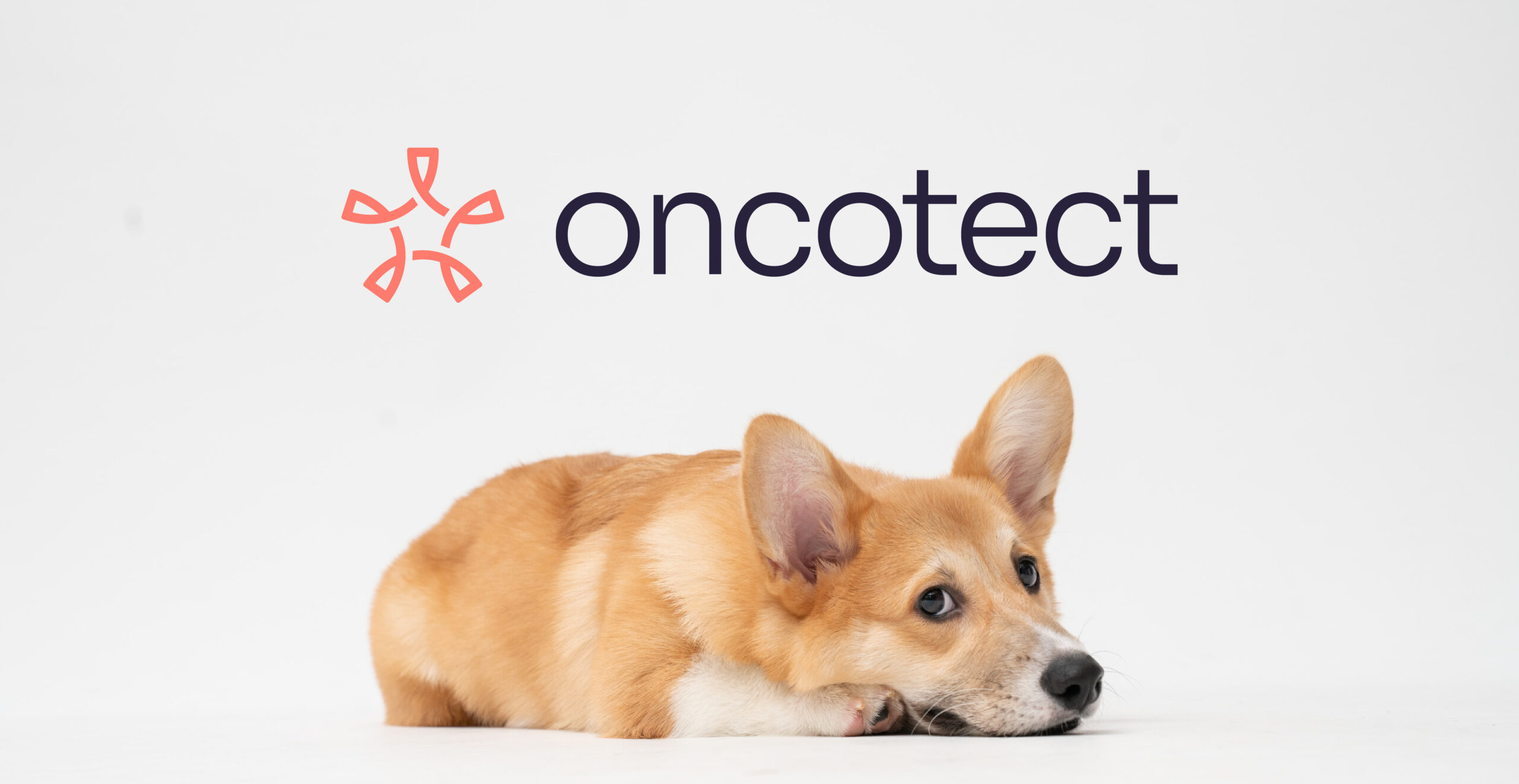 Oncotect