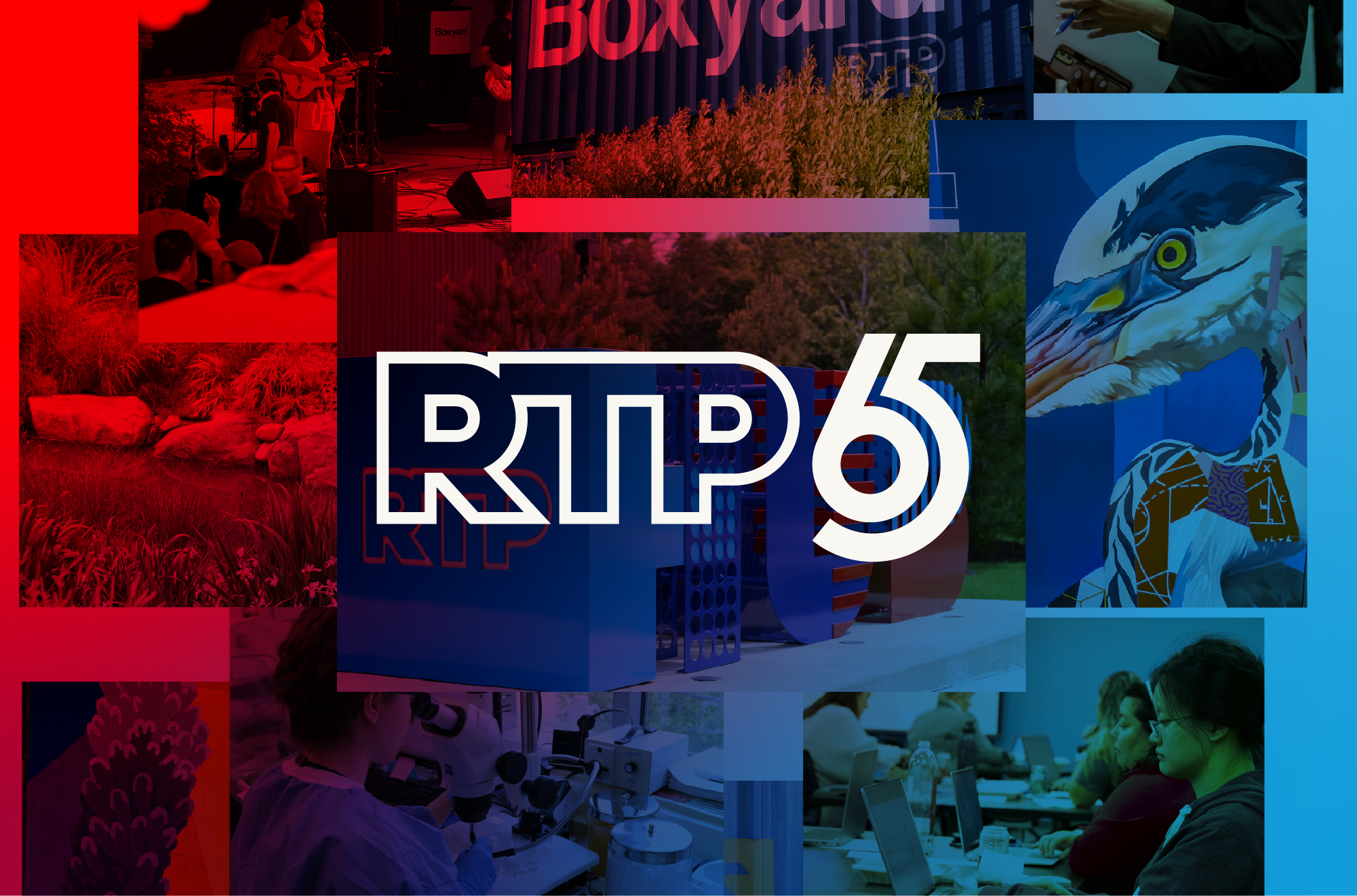 RTP 65 Years Anniversary Logo