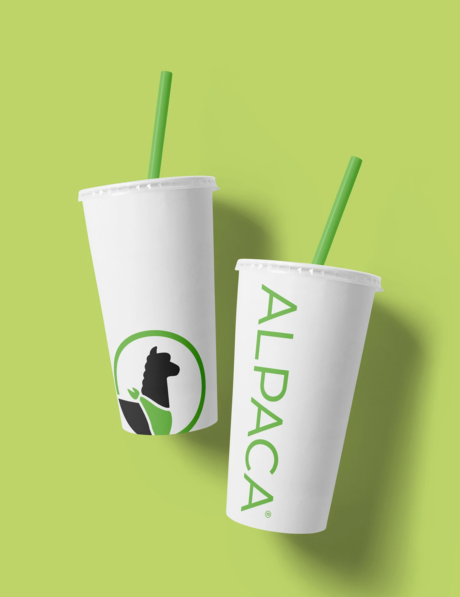 Alpaca Chicken brand identity and website design