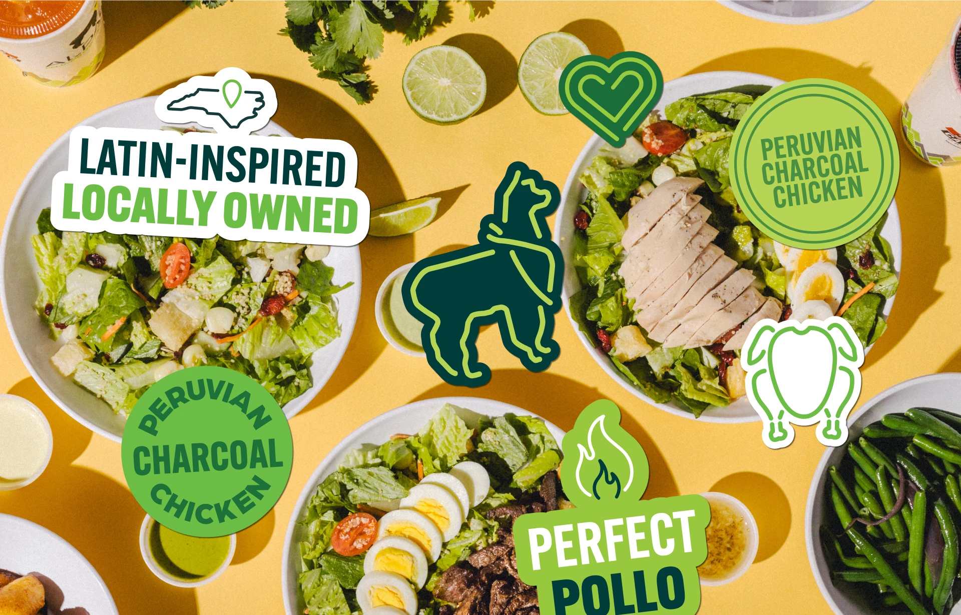 Alpaca Chicken brand identity and website design