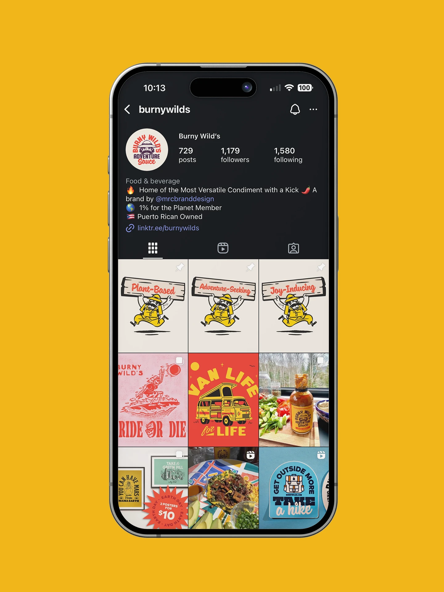 Burny Wilds brand identity on social feed