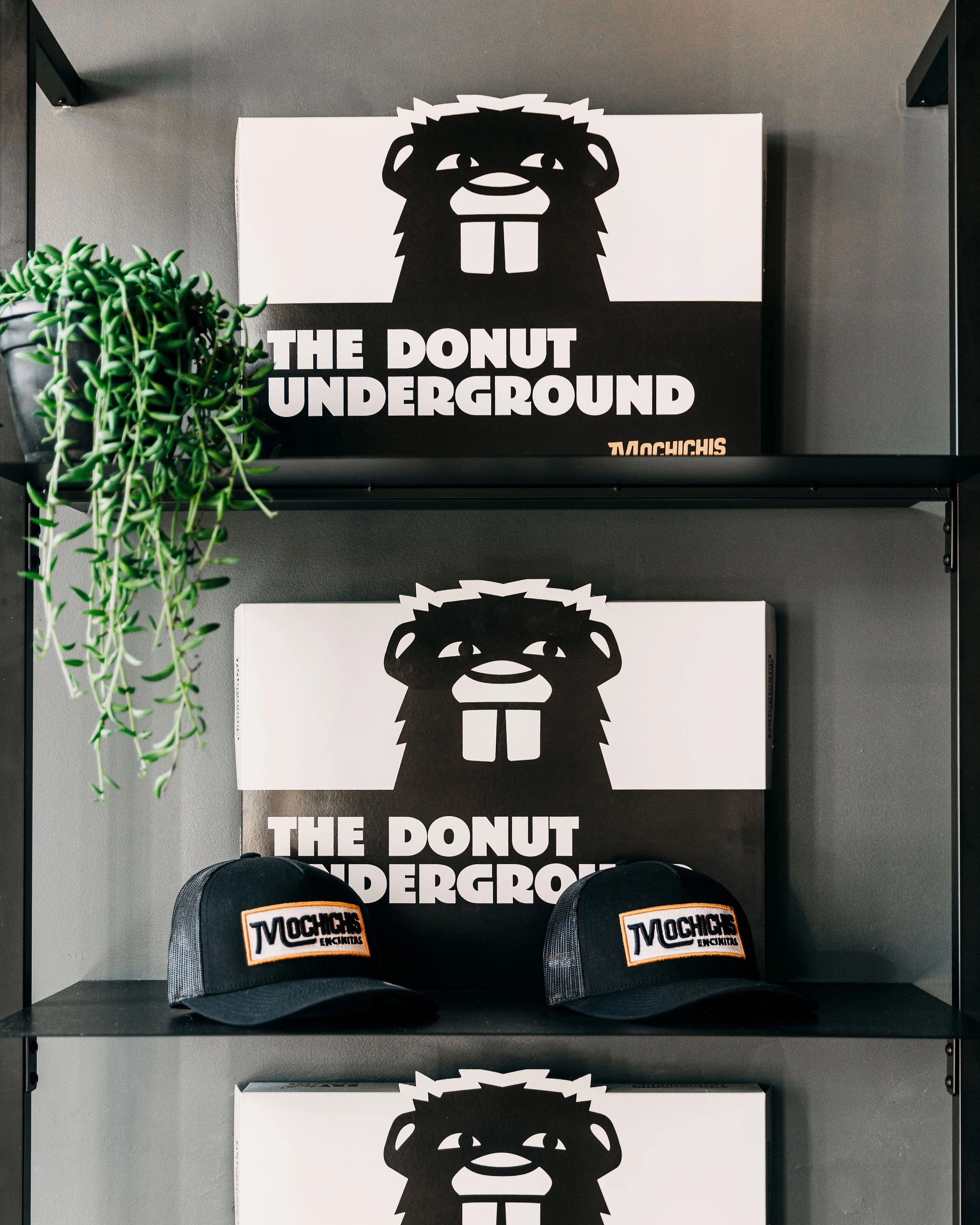 Donut boxes and trucker hats on a modern shelve inside of Mochichis donut shop
