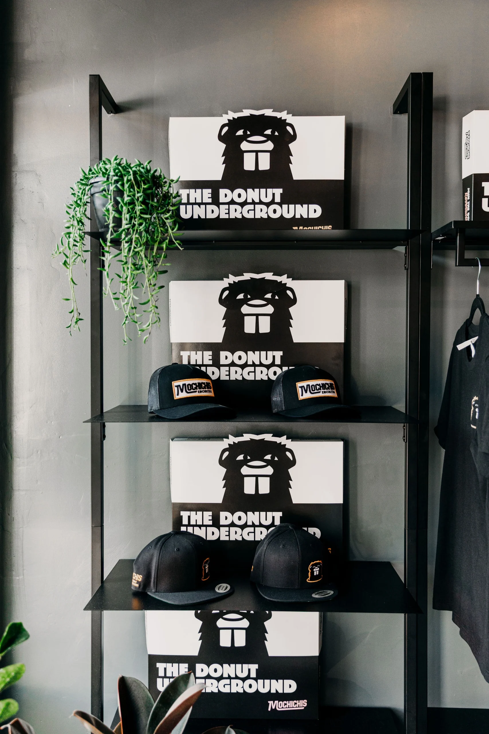 Donut boxes and trucker hats on a modern shelve inside of Mochichis donut shop