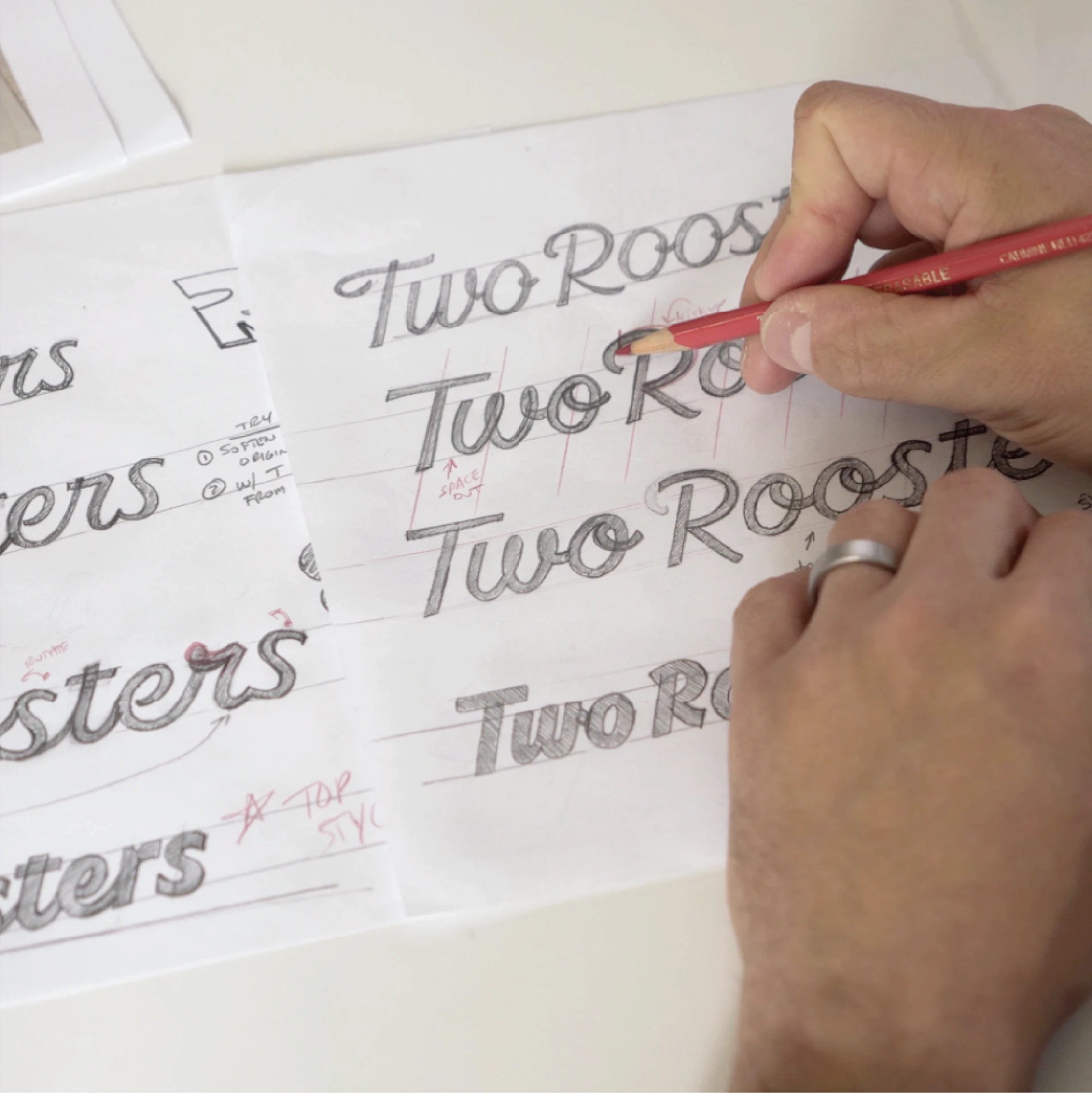 Two Roosters sketching