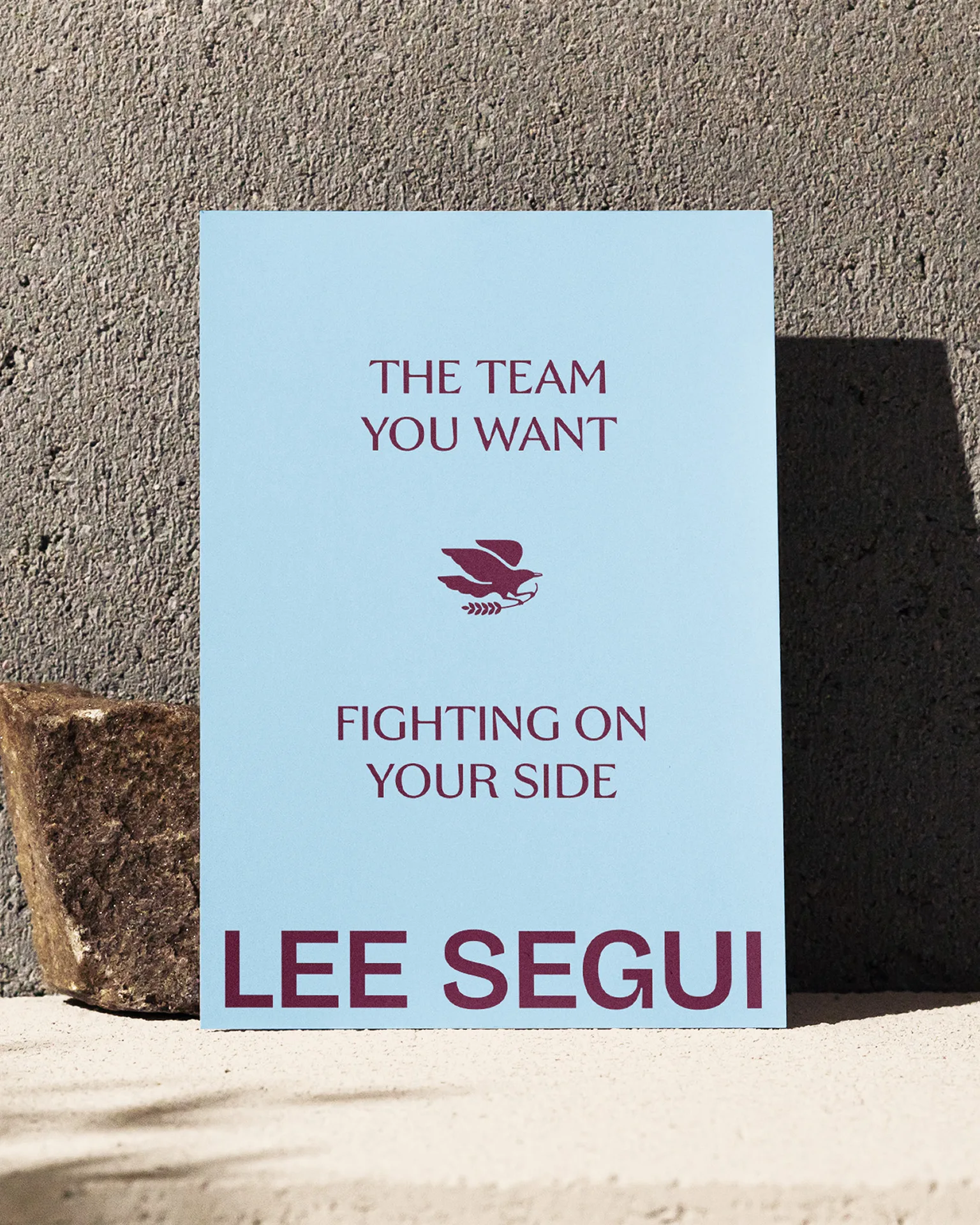 A light blue flyer with purple type that reads 'The team you want fighting on your side'